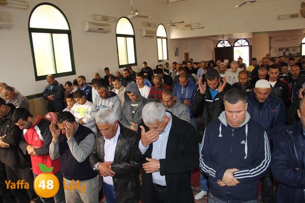 jarhoshuy msajed 0110 (5).JPG